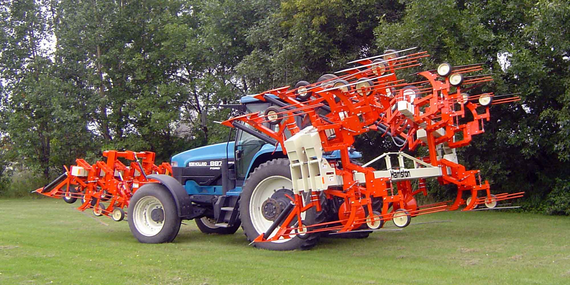 Bean Harvesting